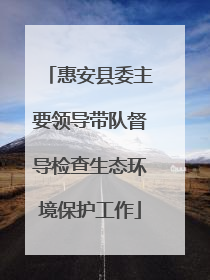 惠安县委主要领导带队督导检查生态环境保护工作