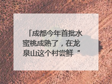 成都今年首批水蜜桃成熟了，在龙泉山这个村尝鲜“第一口”｜寻找和美乡村推荐官