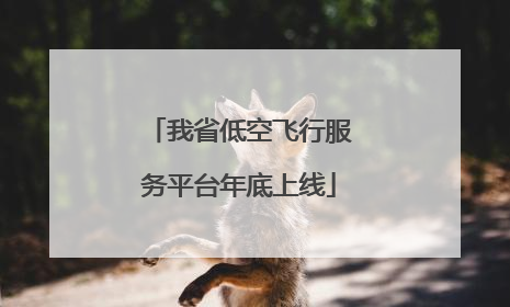 我省低空飞行服务平台年底上线