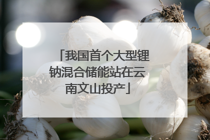 我国首个大型锂钠混合储能站在云南文山投产