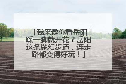 我来邀你看岳阳丨踩一脚就开花？岳阳这条魔幻步道，连走路都变得好玩！
