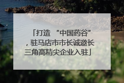 打造 “中国药谷”，驻马店市市长诚邀长三角高精尖企业入驻