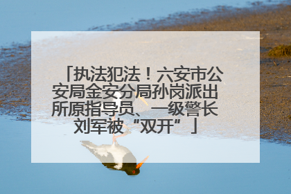 执法犯法！六安市公安局金安分局孙岗派出所原指导员、一级警长刘军被“双开”
