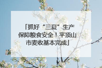 抓好“三夏”生产 保障粮食安全！平顶山市麦收基本完成