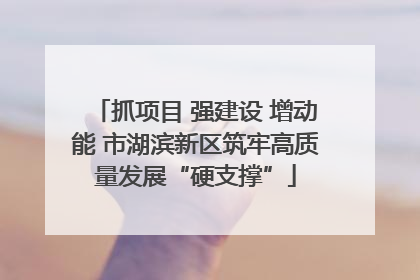 抓项目 强建设 增动能 市湖滨新区筑牢高质量发展“硬支撑”