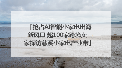抢占AI智能小家电出海新风口 超100家跨境卖家探访慈溪小家电产业带
