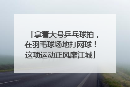 拿着大号乒乓球拍，在羽毛球场地打网球！这项运动正风靡江城