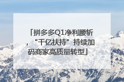 拼多多Q1净利腰斩，“千亿扶持”持续加码商家高质量转型