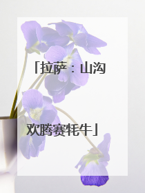 拉萨：山沟欢腾赛牦牛