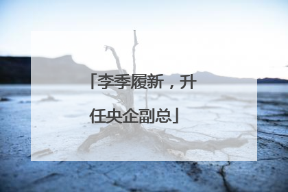 李季履新，升任央企副总