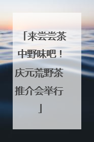 来尝尝茶中野味吧！庆元荒野茶推介会举行