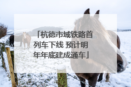 杭德市域铁路首列车下线 预计明年年底建成通车
