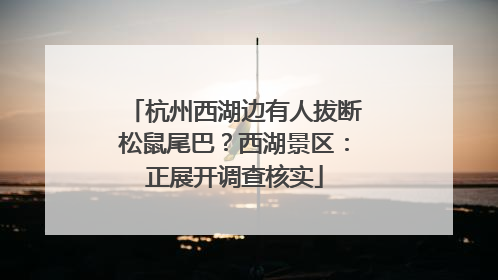 杭州西湖边有人拔断松鼠尾巴？西湖景区：正展开调查核实