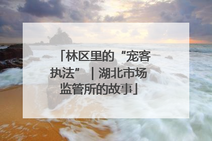林区里的“宠客执法”｜湖北市场监管所的故事
