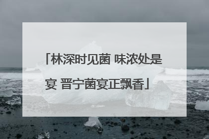 林深时见菌 味浓处是宴 晋宁菌宴正飘香