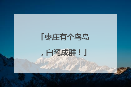 枣庄有个鸟岛，白鹭成群！