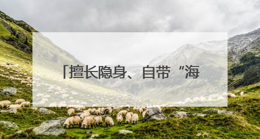 擅长隐身、自带“海狸尾” 彩虹-7无人机究竟有多牛？