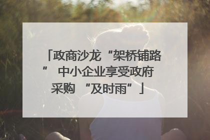 政商沙龙“架桥铺路” 中小企业享受政府采购 “及时雨”