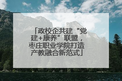 政校企共建“党建+康养”联盟，枣庄职业学院打造产教融合新范式