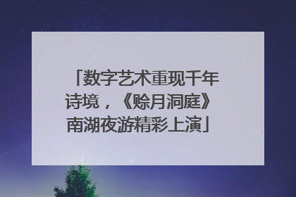 数字艺术重现千年诗境，《赊月洞庭》南湖夜游精彩上演