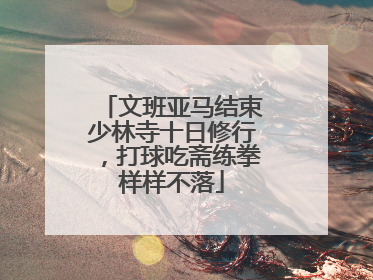 文班亚马结束少林寺十日修行，打球吃斋练拳样样不落