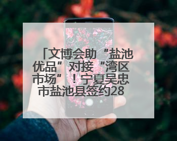 文博会助“盐池优品”对接“湾区市场”！宁夏吴忠市盐池县签约28.44亿元