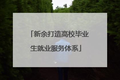 新余打造高校毕业生就业服务体系