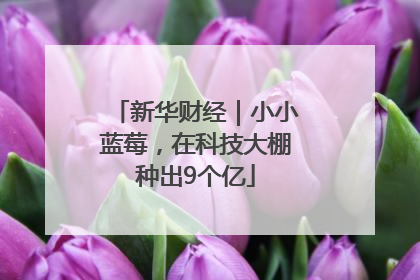 新华财经｜小小蓝莓，在科技大棚种出9个亿