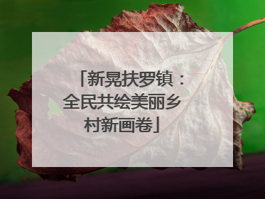 新晃扶罗镇：全民共绘美丽乡村新画卷