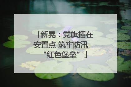 新晃：党旗插在安置点 筑牢防汛“红色堡垒”