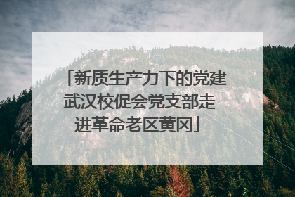 新质生产力下的党建 武汉校促会党支部走进革命老区黄冈