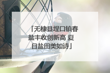 无棣县埕口镇春盐丰收创新高 夏日盐田美如诗