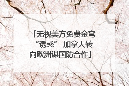 无视美方免费金穹“诱惑” 加拿大转向欧洲谋国防合作