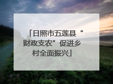 日照市五莲县“财政支农”促进乡村全面振兴
