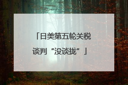 日美第五轮关税谈判“没谈拢”