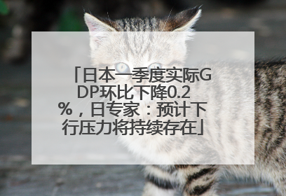日本一季度实际GDP环比下降0.2%，日专家：预计下行压力将持续存在
