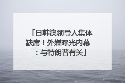 日韩澳领导人集体缺席！外媒曝光内幕：与特朗普有关