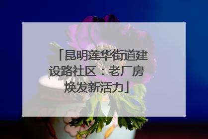 昆明莲华街道建设路社区：老厂房焕发新活力