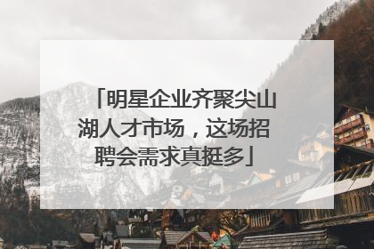 明星企业齐聚尖山湖人才市场，这场招聘会需求真挺多