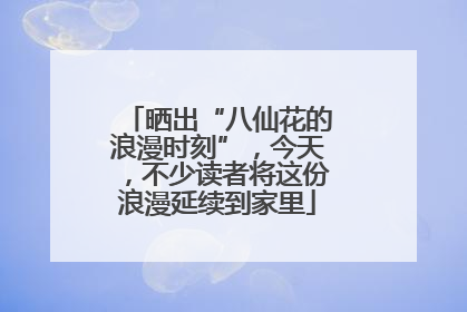 晒出“八仙花的浪漫时刻”，今天，不少读者将这份浪漫延续到家里