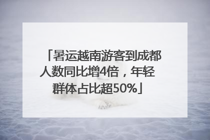 暑运越南游客到成都人数同比增4倍，年轻群体占比超50%