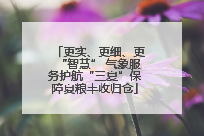 更实、更细、更“智慧” 气象服务护航“三夏”保障夏粮丰收归仓