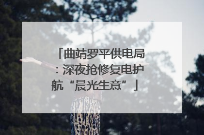 曲靖罗平供电局：深夜抢修复电护航“晨光生意”