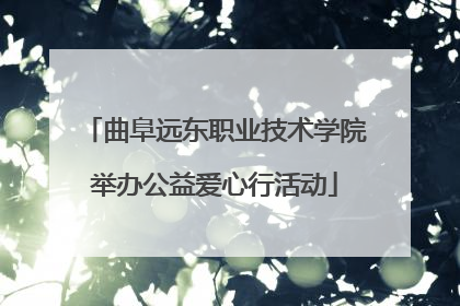 曲阜远东职业技术学院举办公益爱心行活动