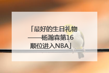 最好的生日礼物——杨瀚森第16顺位进入NBA