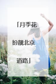 月季花扮靓北京道路