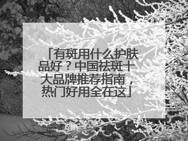 有斑用什么护肤品好？中国祛斑十大品牌推荐指南，热门好用全在这