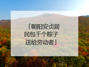 朝阳安贞居民包千个粽子送给劳动者