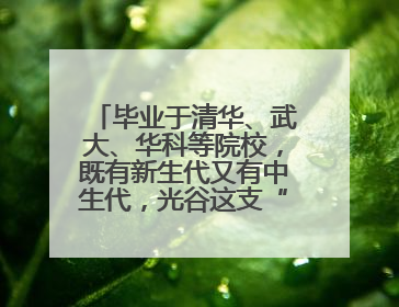 毕业于清华、武大、华科等院校，既有新生代又有中生代，光谷这支“理工男团”为何“出道”？