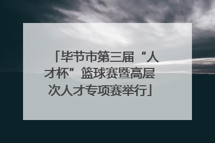 毕节市第三届“人才杯”篮球赛暨高层次人才专项赛举行